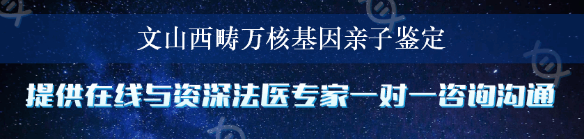 文山西畴万核基因亲子鉴定